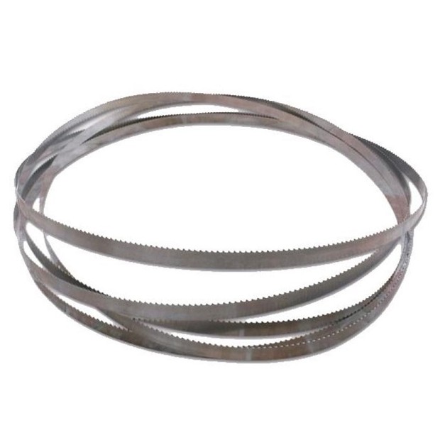 Lame pour scie à os Fama industrie x 10