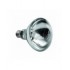 Lampe infrarouge IWL250D-WS