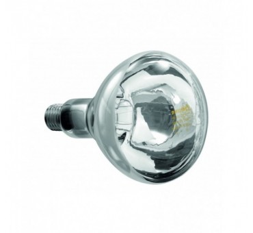 Lampe infrarouge IWL250D-W Lampe infrarouge IWL250D-W