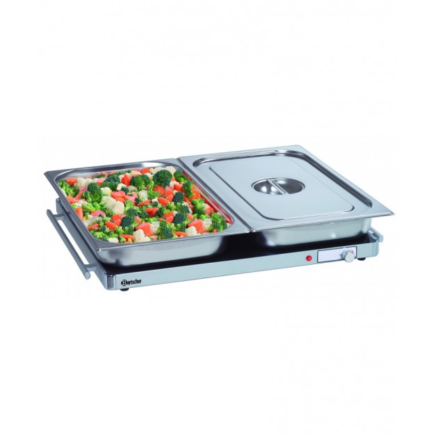 Plaque chauffante WP300 2/1