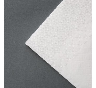 Serviettes dîner 2 plis Fiesta Recyclable blanches 400 x 400mm Serviettes dîner 2 plis Fiesta Recyclable blanches 400 x 400mm