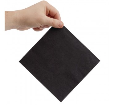 Serviettes snacking 2 plis pliage 1/4 Fiesta Recyclable 330mm noires (lot de 2000) Serviettes snacking 2 plis pliage 1/4 Fiesta Recyclable 330mm noires (lot de 2000)