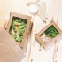Boîtes salade avec fenêtre PET Fiesta Recyclable 700ml (lot de 200)