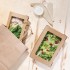 Boîtes salade avec fenêtre PET Fiesta Recyclable 1200ml (lot de 150)