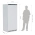 Armoire réfrigérée positive 1 porte blanche Polar 600L