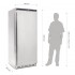 Armoire réfrigérée positive inox Polar 600L