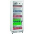 Armoire réfrigérée ventilée 230L Modèle dGTK 230