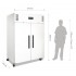 Armoire réfrigérée positive gastronorme double porte Polar 1200L